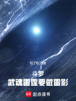 小说《斗罗大陆雷武魂魂技》封面