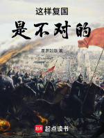 小说《这样复国是不对的》封面