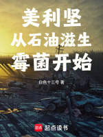 美利坚从石油滋生霉菌开始小说封面
