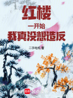 红楼：一开始，我真没想造反小说封面